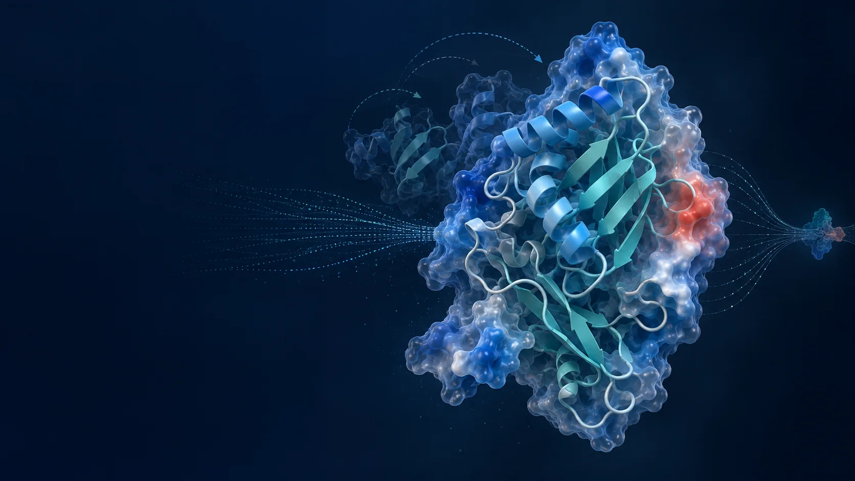 Folded protein with molecular-dynamics trajectories, electrostatic surface regions, and data-driven prediction cues