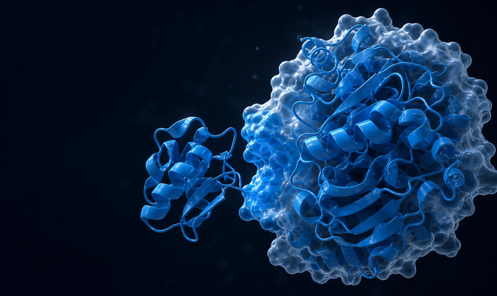 Molecular visualization of a protein binding interface